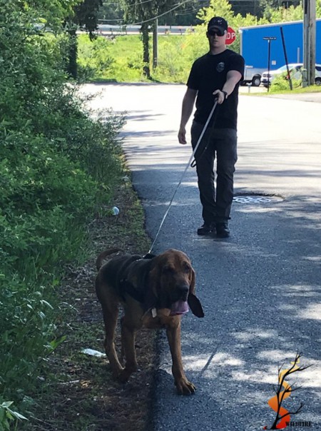 Wildfire Arson Bloodhound research West Virginia