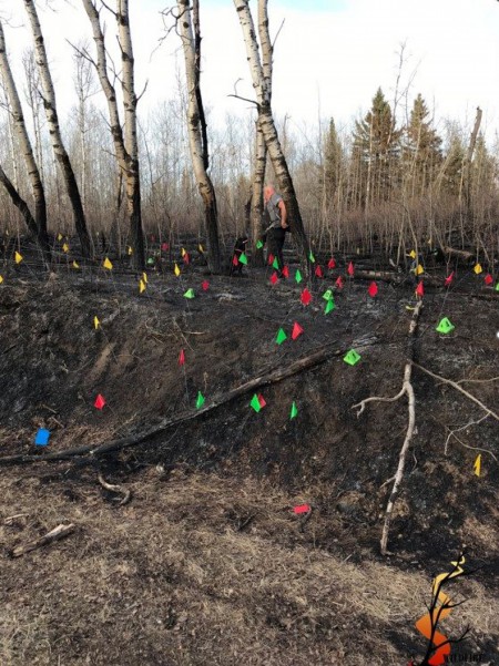 Wildfire Arson Case Canada 1