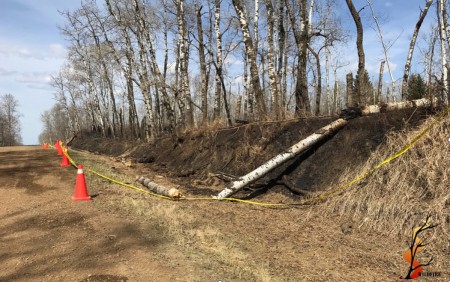 Wildfire Arson Case Canada 2