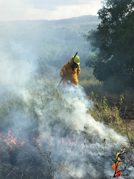 Wildfire Investigation Training 1