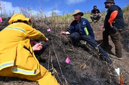 Wildfire Investigation Training 2